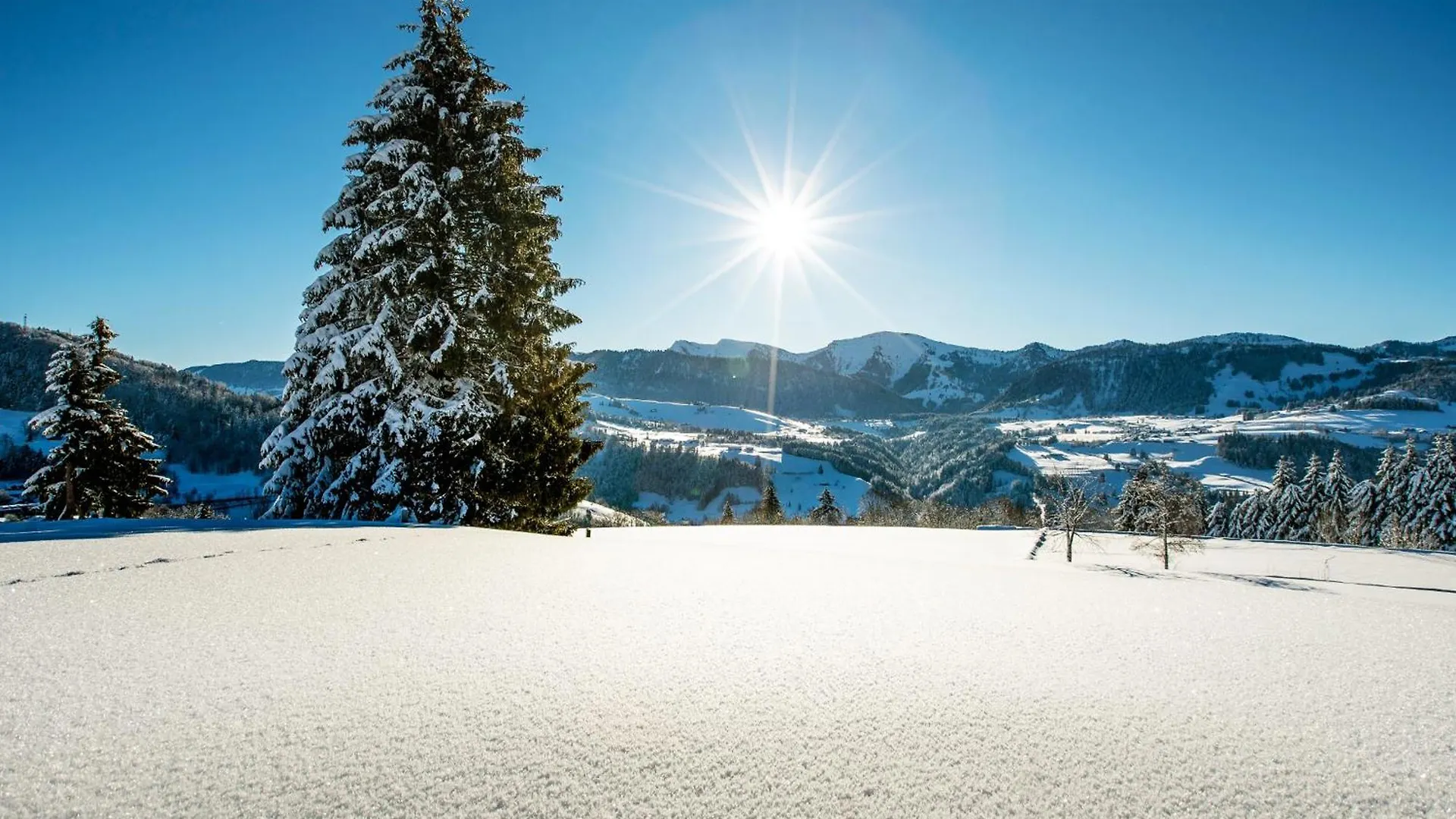 Allgaeu Luxury Apartment Bergloewe Mit Sauna Oberstaufen